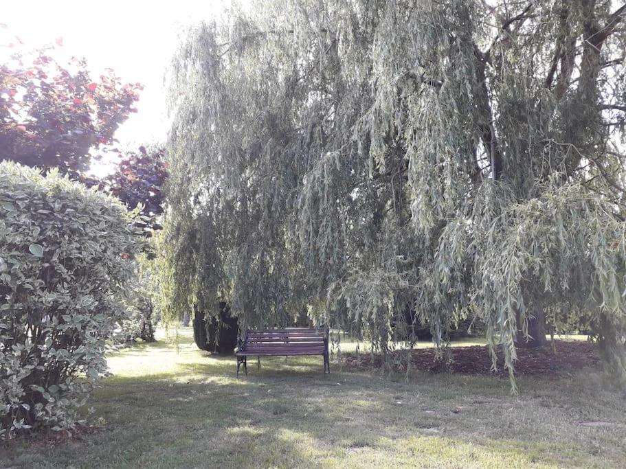 Un Petit Coin De Paradis Clairfontaine ภายนอก รูปภาพ